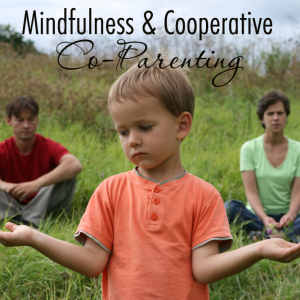 mindfulness-cooperative co-parenting